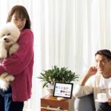 元サッカー日本代表・槙野智章に高梨臨との子供はいる?馴れ初めも調査