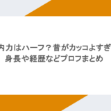 竹内力はハーフ？昔がカッコよすぎ！身長や経歴などプロフまとめ